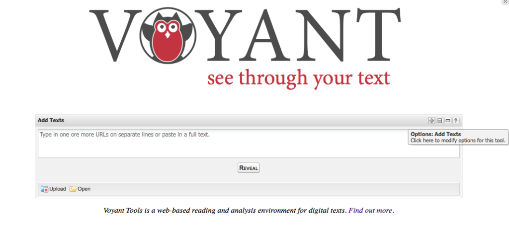 Voyant Main Page
